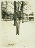 000209_thumb.gif